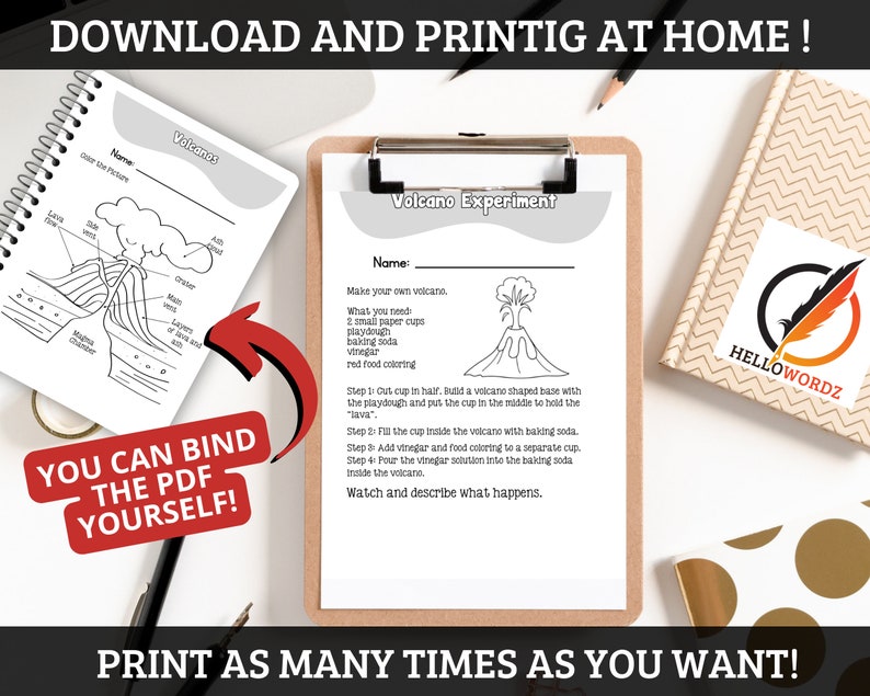 Science Worksheets Activity Workbook Elementary Learning Printable Activity Sheets for Kids Learning Homeschool Printable 3rd grade