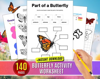 Schmetterling Arbeitsblatt Frühling Lebenszyklus Rückverfolgung Aktivität für Kinder Handwerk druckbare Färbung, Ausschnitte digitaler Download Bundle