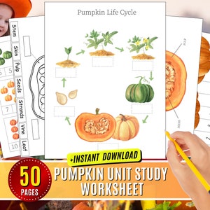 May include: A printable pumpkin life cycle worksheet with illustrations of a pumpkin plant growing from a seed to a mature pumpkin. The worksheet includes a diagram of a pumpkin with labels for the stem, skin, pulp, seeds, strands, vine, and leaf. The worksheet also includes a number line with numbers 1 through 10.