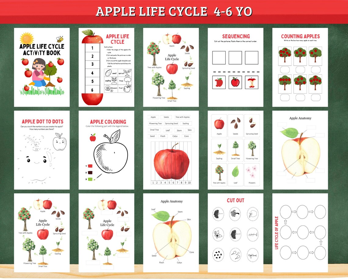 Apple Life Cycle Tree Science Unit Study Activity Workbook Apple ...