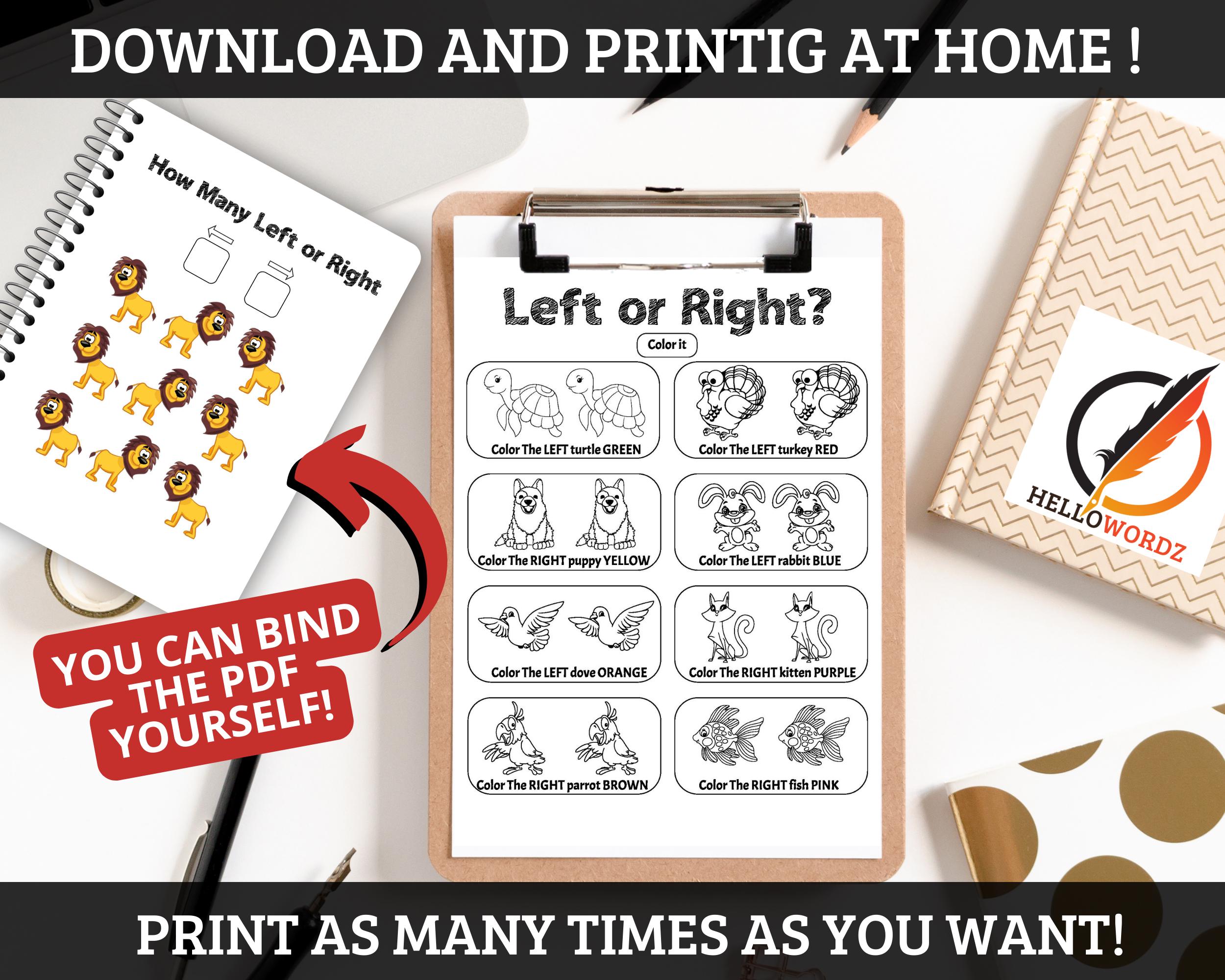 Left and Right Worksheets: Directional Activity for Kids Homeschool ...