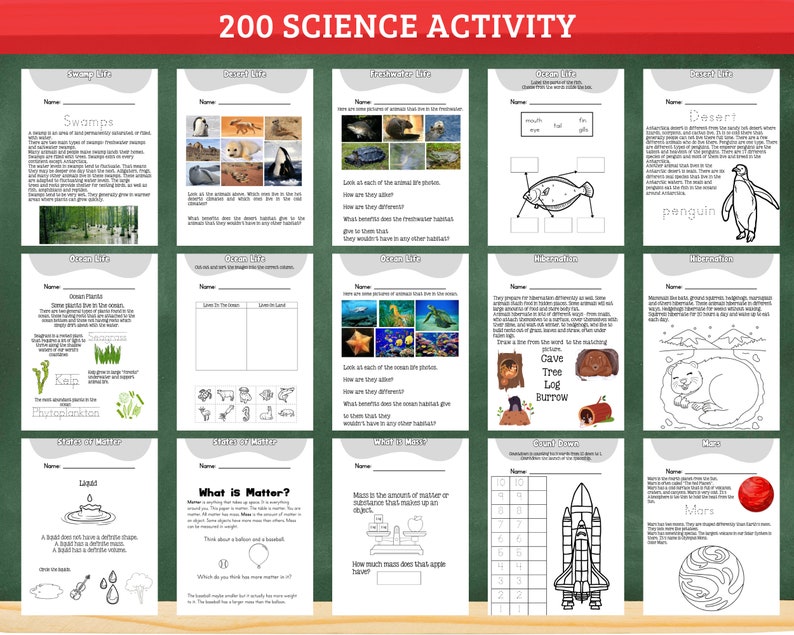 Science Worksheets Activity Workbook Elementary Learning Printable Activity Sheets for Kids Learning Homeschool Printable 3rd grade
