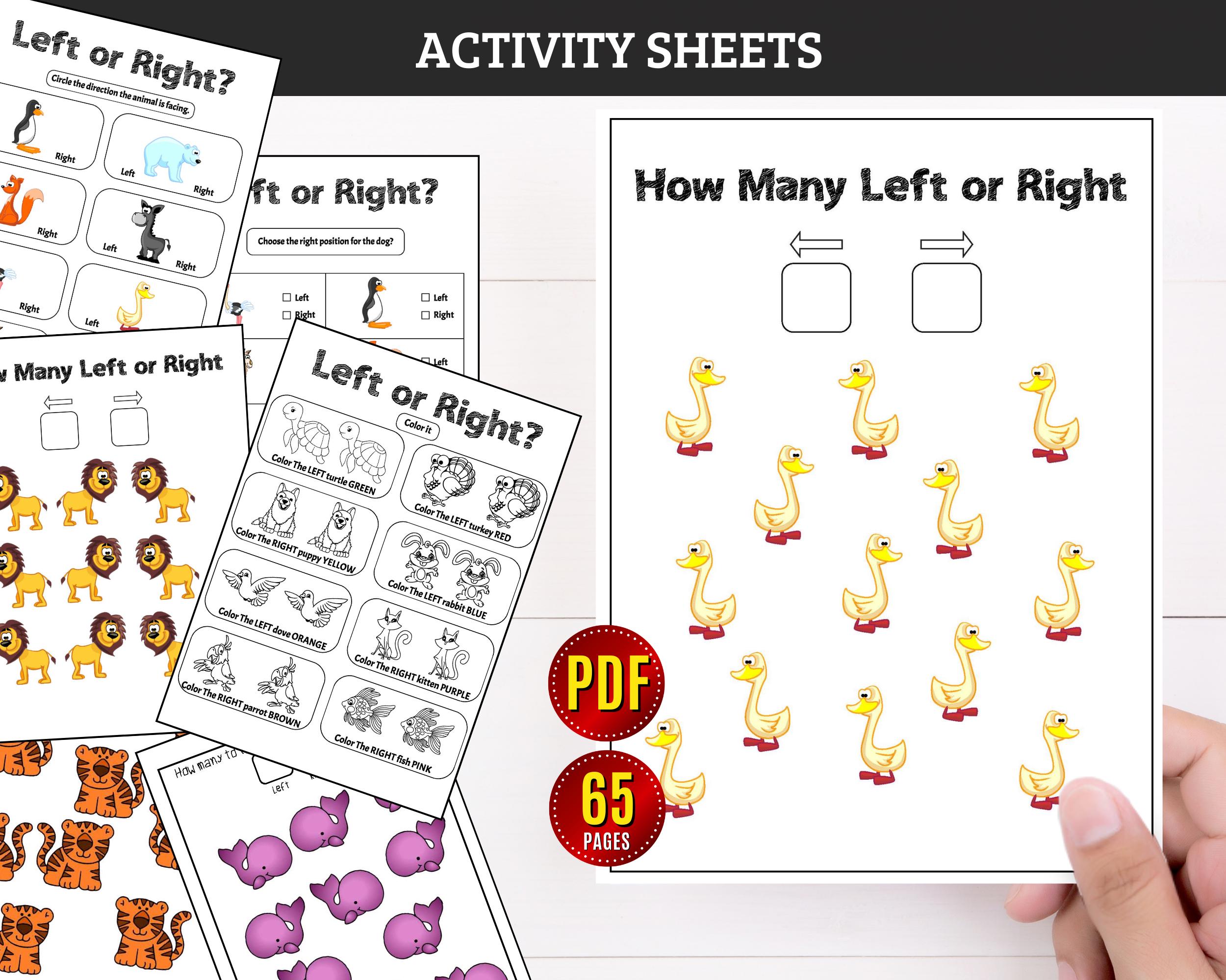 Left and Right Worksheets: Directional Activity for Kids Homeschool ...