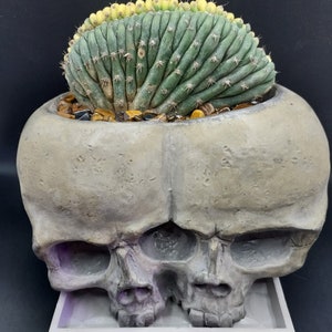 Double Skull Planter with Drainage | Includes Water Collection Tray | Concrete Planter | Unique Planter | | Gothic Decor | Gothic Art | SP |