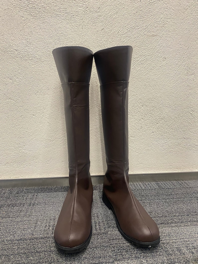 May include: A pair of brown leather knee-high boots with a pointed toe.