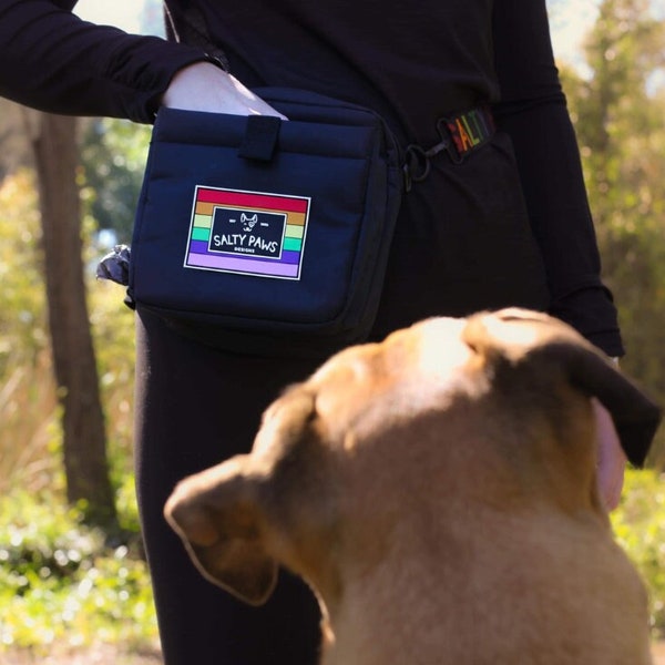 Dog Treat / Training Pouch Bag