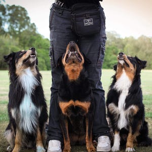 Dog Treat / Training Pouch Bag