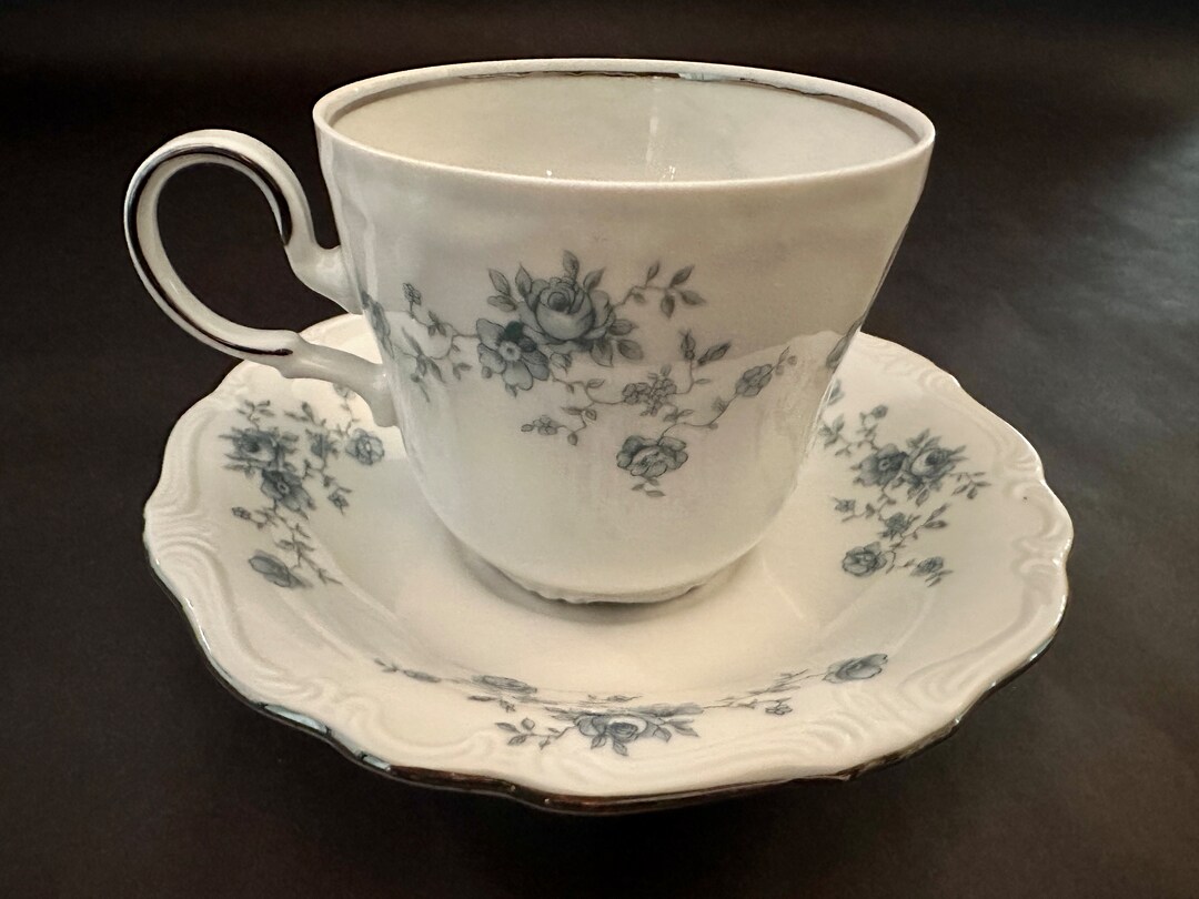 Vintage Flatbottom Teacup and Saucer by Johann Haviland Etsy