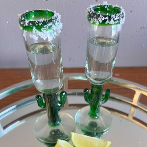 Mexicaanse Cactus Stam Borrelglas Cadeauset