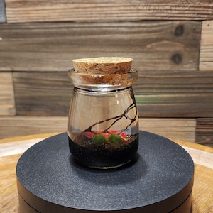 FREE SHIPPING Tiny Cork Glass Jar Marimo Moss Ball Terrarium