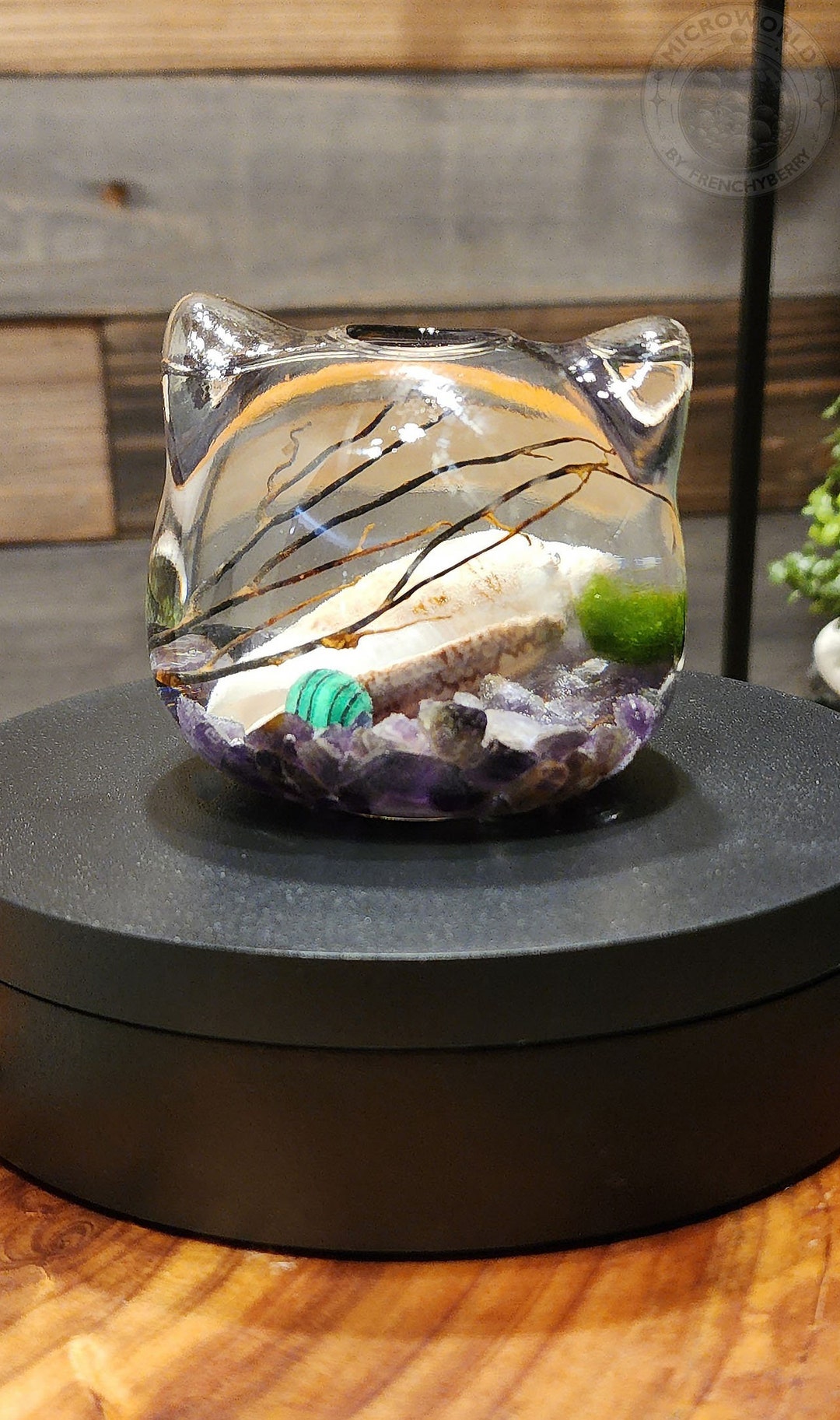 Natural Amethyst Mini Closed Ecosystem, Live Java Moss Terrarium,closed