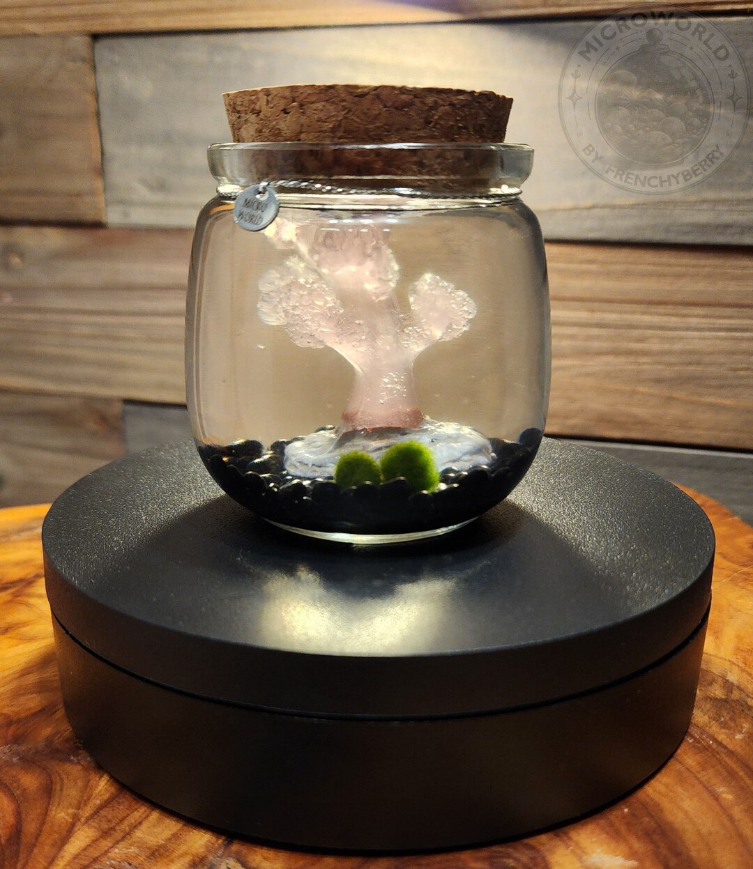 Cute Mini Aqua Terrarium Kit With Two Live Aquatic Moss Balls With