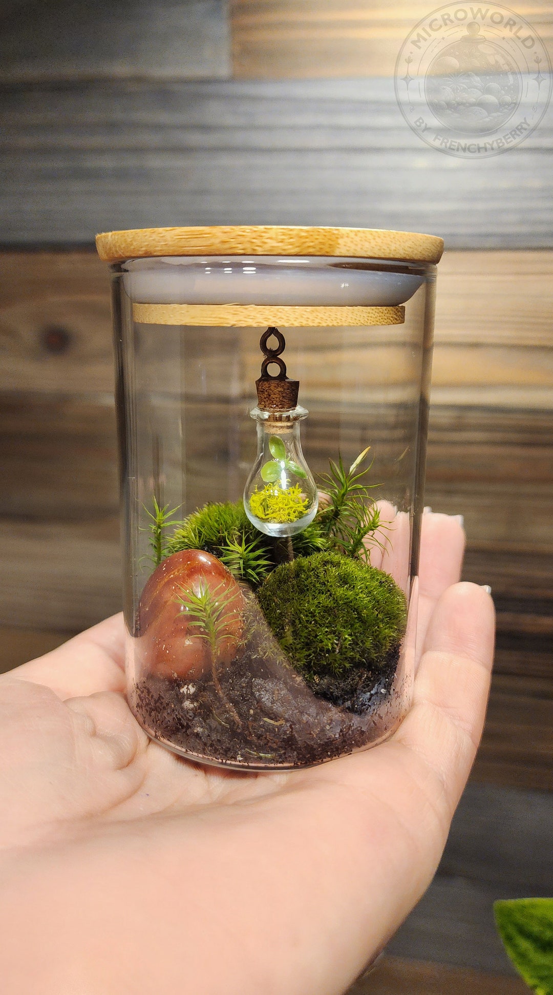 DIY Live Moss Terrarium Kit, Fairy Garden, Housewarming Gift, Closed