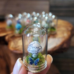 ZERO Maintenance Preserved Moss Crystal Mushroom Terrarium With Tiny Butterfly, Desk Decor, Crystal Mushroom Collection, Gem Terrarium, Gift