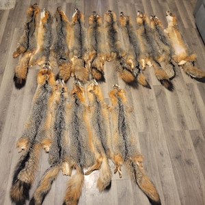 garment tanned gray fox