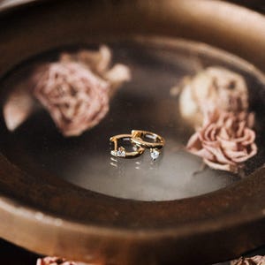Puede incluir: Un par de pendientes de aro dorados con peque&ntilde;as piedras preciosas transparentes. Los pendientes se exhiben sobre una superficie reflectante dentro de un plato de color bronce, rodeados de rosas rosas secas. Los pendientes tienen un dise&ntilde;o cl&aacute;sico y elegante.