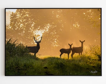 Rotwild Wald Poster Wald Leinwand Wald Reh Fotografie Natur Poster Wald Geschenk Naturliebhaber Einzug Poster Rotwild Wald Leinwand Natur
