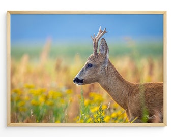 Rehbock Blumenwiese Poster Reh Leinwand Wiese Reh Fotografie Natur Poster Geschenk Naturliebhaber Einzug Poster Reh Bock Leinwand Natur