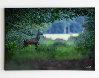 Rotwild Wald Poster Hirsch Leinwand Wald Reh Fotografie Natur Poster Wald Geschenk Naturliebhaber Einzug Poster Rotwild Wald Leinwand Natur