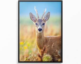 Rehbock Blumenwiese Poster Reh Leinwand Wiese Reh Fotografie Natur Poster Geschenk Naturliebhaber Einzug Poster Reh Bock Leinwand Natur