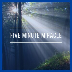 Op de afbeelding: Een serene bosscène met zonlicht dat door de bomen schijnt. De tekst "FIVE MINUTE MIRACLE" wordt in het wit weergegeven, gecentreerd op de afbeelding, boven een witte horizontale lijn. De afbeelding heeft een donkerblauwe rand.