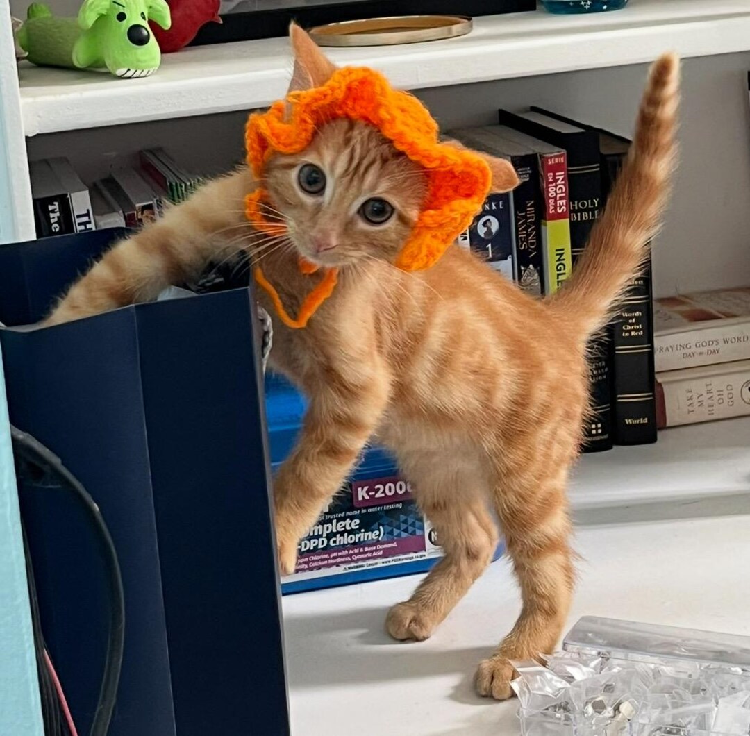 Crochet Cat Sun Hat With Ruffles - Etsy