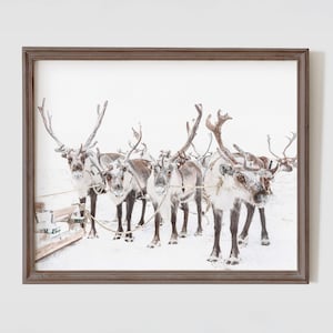 Rentier Fotodruck auf Leinwand oder Druck, Neutral Weihnachtsdekor, Winterlandschaft gerahmte Leinwand, Fine Art Photo Print, weltweiter Versand