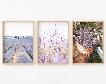 Puede incluir: Tres impresiones enmarcadas de flores de lavanda. La primera impresión muestra un campo de flores de lavanda. La segunda impresión muestra un primer plano de flores de lavanda. La tercera impresión muestra una cesta de flores de lavanda en una bicicleta.