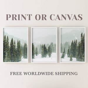 Set von 3 Winter Wald Fotos auf Druck oder Leinwand, Weihnachts-Wand-Dekor, Schnee Landschaft, Pinetree Druck, Winter Wald Panorama