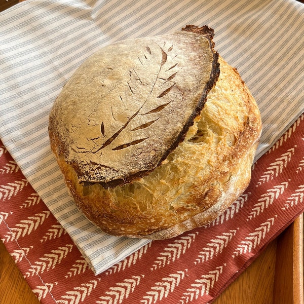 Bread Bag + Jar Cap Fermenting Kitchen Storage Reusable Zero Waste Sustainable Sourdough Linen Cotton Wrap Farmhouse Scrunchy Homesteader