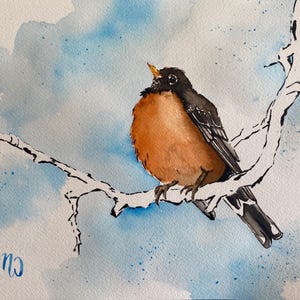 Impression peinture aquarelle faite main - Rouge-gorge (Non encadré, 23×25 cm) / Stampa ad acquerello - American Robin (Senza cornice, 8 x 10 pollici)