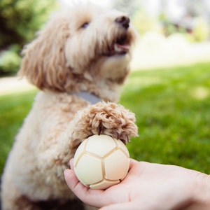 Natural Rubber Dog Ball - Safe Toy for Dogs, Eco-Friendly Dog Ball, Pet-Safe Fetch Toy, Size Medium (2.5 inches)