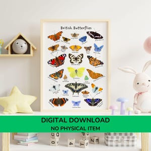 イギリスの蝶のポスター｜自然をテーマにした壁アート（印刷可能）｜教育用装飾