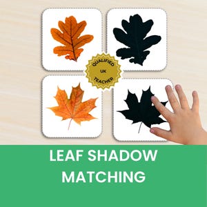 Könnte beinhalten: Vier quadratische Karten mit Aktivitäten zum Zuordnen von Blätterschatten. Zwei Karten zeigen realistische orangefarbene und gelbe Herbstblätter, während zwei Karten schwarze Blattsilhouetten darstellen. Ein goldenes Abzeichen trägt die Aufschrift QUALIFIED UK TEACHER.