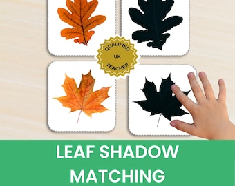 Pode incluir: Quatro cartões quadrados com atividades de correspondência de sombras de folhas. Dois cartões exibem folhas de outono realistas em laranja e amarelo, enquanto dois cartões mostram silhuetas pretas. Um emblema dourado diz QUALIFIED UK TEACHER.