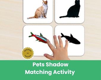 May include: A pets shadow matching activity featuring four square cards with rounded corners. The cards display an orange and white cat, a black cat silhouette, a colorful fish, and a black fish silhouette. A gold seal reads Qualified UK Teacher.