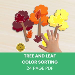 May include: A tree and leaf color sorting activity featuring three illustrated trees in dark red, orange, and yellow with matching leaves. A gold badge reads QUALIFIED UK TEACHER. The text reads TREE AND LEAF COLOR SORTING 24 PAGE PDF.