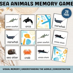 Op de afbeelding: Een set van 28 kleurrijke memory-spelkaarten met zeedieren zoals een narwal, orka, walvishaai, groene zaagvis, krab en zeeootter. De kaarten hebben een blauwe, gele en witte achtergrond met zeesterren en schelpen.