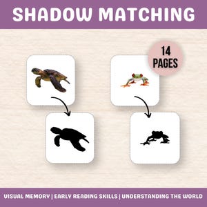 Carte per abbinare le ombre degli animali, attività per abbinare le ombre, gioco per bambini in età prescolare, discriminazione visiva, capacità di lettura precoce