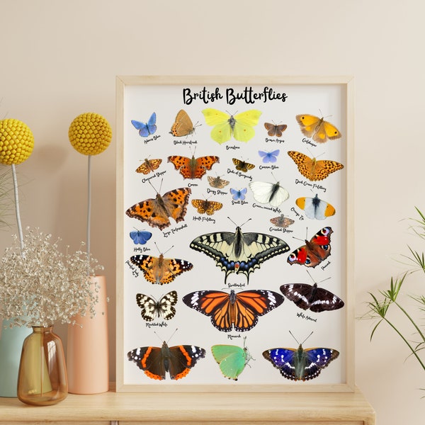 British Butterflies Poster A4, Printable Wall Art, Montessori Classroom Poster, Nature Educational Posters, Homeschool Learning Materials