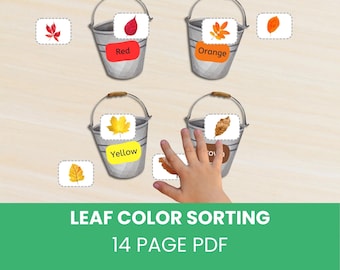 Fall Leaf Color Sorting Game | Preschool Printable | Montessori Learning Activity