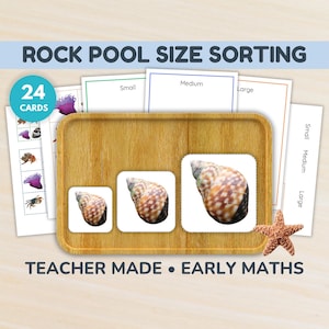 Rock Pool Size Sorting Game | Montessori Preschool Printable | Size Recognition & Math Skills