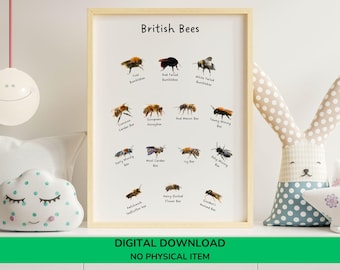 British Bees Poster | Montessori Classroom Printable | Nature Wall Art