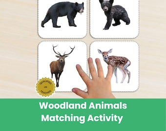 Jeu d'association sur les animaux de la forêt | Activité Montessori pour la maternelle | Activité d'apprentissage de la nature à la maison