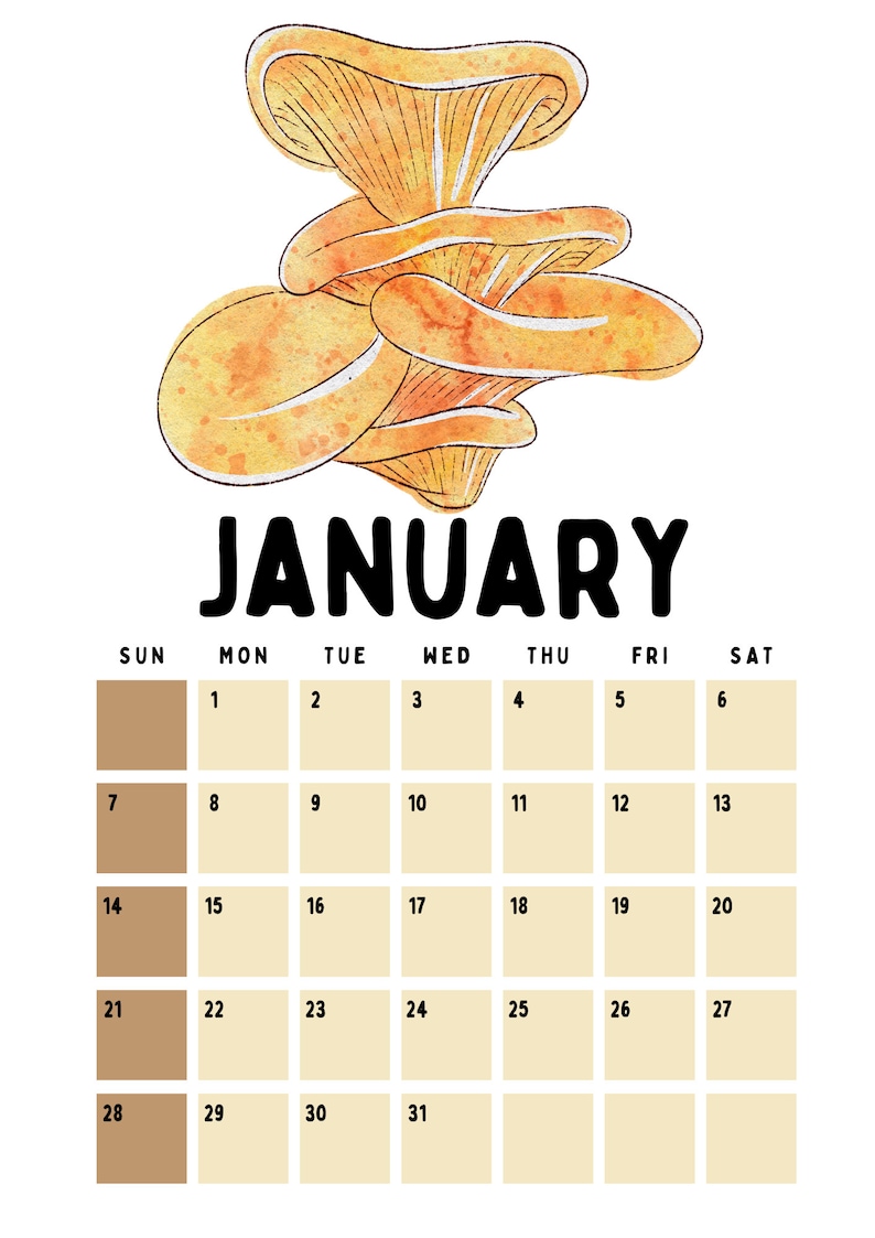 2024 MUSHROOM COTTAGECORE CALENDAR Digital Printable Monthly Etsy