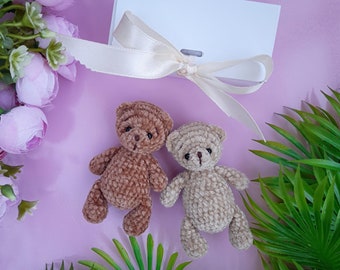 Pocket stuffed brown teddy bear in a gift box. Small beige plush pet bear. Chtistmas, New Year, Birthday, Anniversary gift for friends, mom.