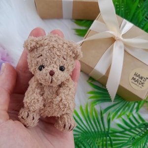 Mini urso de pelúcia exclusivo, de pelúcia, em caixa de presente. Animal de estimação de bolso para a escola. Pequeno e fofo. Animalzinho. Presente de Natal e aniversário.