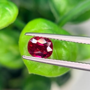May include: A vibrant, oval-cut red gemstone held by silver-toned metal tweezers. The stone features a faceted surface that reflects light, showcasing deep crimson hues and internal clarity. The gemstone is positioned horizontally between the metal tips.