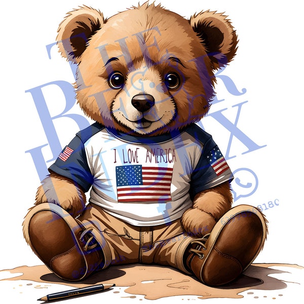 Polo Bears for kids. Vector image ready to print, cute and high quality. Little bear sitting with American flag sweater