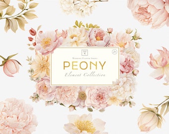 Peony Floral Clipart, Watercolor Flowers PNG Bundle, Wedding Digital Download Graphics, Wildflower Bouquet Images, Commercial Use Art